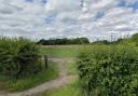 A new 2.5-acre dog park was given the green light for a former horse grazing field in Oulton, Lowestoft earlier this year. Picture: Google Maps