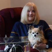 Maureen Martin, formerly a Norwich Ladies FC and England footballer, relaxing with her dog. With her are a few trophies and her England cap. Picture: DENISE BRADLEY