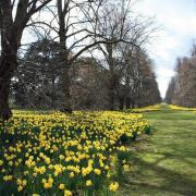 Nowton Park near Bury St Edmunds is one of the parks in Suffolk to receive the award