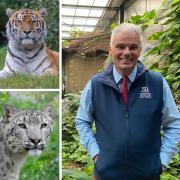 Ian Bartlett, chief executive of the Zoological Society of East Anglia (ZSEA), the charity which runs Banham Zoo and Africa Alive