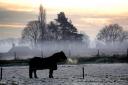 A cold weather alert has been issued for Suffolk this week