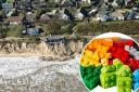 The UK Children's Parliament has asked Lego to build a model of erosion-threatened homes in Hemsby