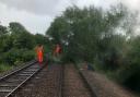 Fallen tree on the line near Brundall Gardens