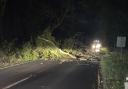 The tree fell on the A12 at Darsham, east Suffolk