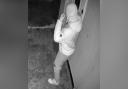 CCTV has been released after an attempted burglary in Lowestoft