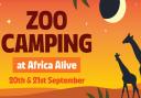 Families and wildlife enthusiasts will enjoy an unforgettable overnight stay at the zoo