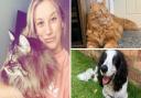 Cloe Merrells set up her mobile pet care business, Cloe Clips, to help anxious pets