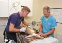 Vet Elliot Simpson Brown and Dr Gerhard Putter preparing dental treatment on Boo the aardvark. Picture: Mick Howes