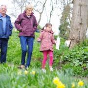 The Lowestoft Lions Club Easter Egg Hunt at the Sparrows Nest Gardens.Searching for clues.Picture: James Bass