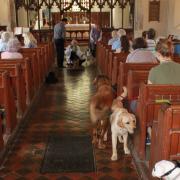 A scene from a previous pet service. Picture: Courtesy of Somerleyton Church