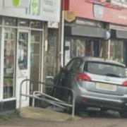 A dog has died after being hit by a car that crashed into a shop front