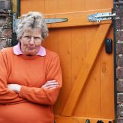 Gillian Mears pictured next to her back gate which she spent £520 to have repaired after youths smashed it up, twice