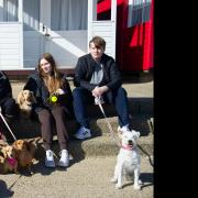 Southwold has been named among the best towns for a dog-friendly holiday