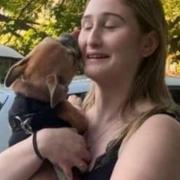 Bella the French bulldog has been reunited with her owner