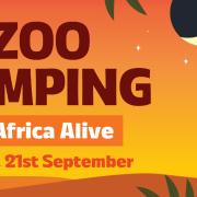 Families and wildlife enthusiasts will enjoy an unforgettable overnight stay at the zoo