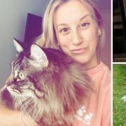 Cloe Merrells set up her mobile pet care business, Cloe Clips, to help anxious pets