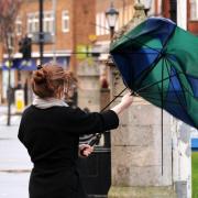 Gale force winds are expected to hit the county on Sunday