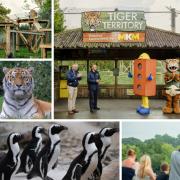 Banham Zoo has committed to bringing in more exotic animals, dispelling fears that the attraction is shifting its focus to species from the British Isles